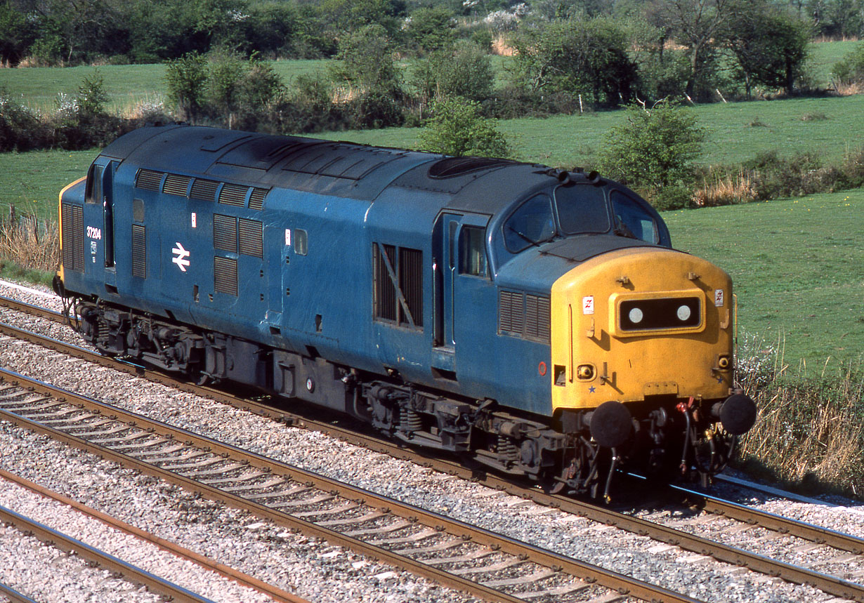37204 Marshfield 28 April 1984