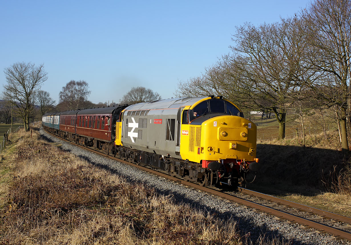 37901 Burrs 7 March 2010