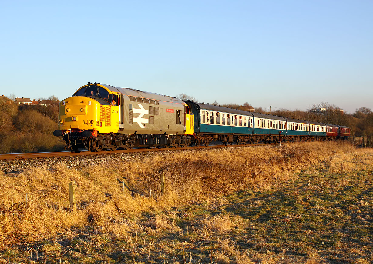 37901 Burrs 7 March 2010