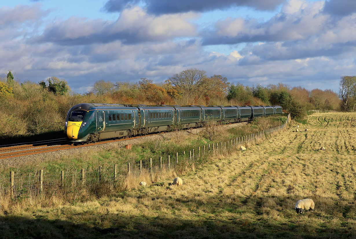 800308 Hungerford Common 20 November 2024