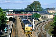 50015 & 50008 Kemble 19 October 1991
