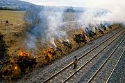 Edington Lineside Fire 11 March 1986
